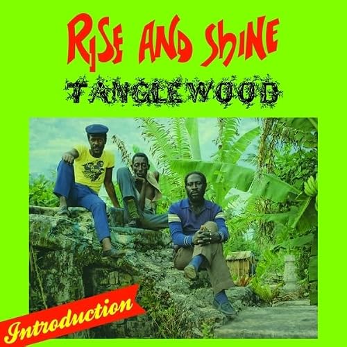 TANGLEWOOD - Rise & Shine - Vinyl (LP)