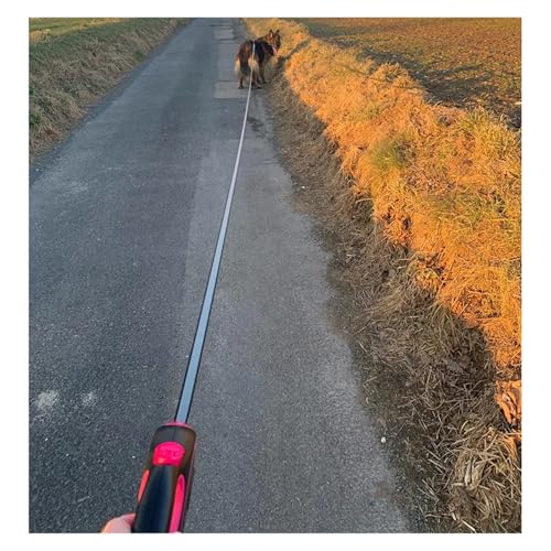 Laisse pour chien rétractable et durable 3m avec collier bleu réglable - 8