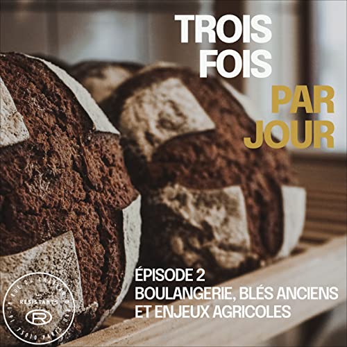 &Eacute;pisode 2 : boulangerie, bl&eacute;s anciens et enjeux agricoles, avec Maxime Bussy, boulanger au Bricheton