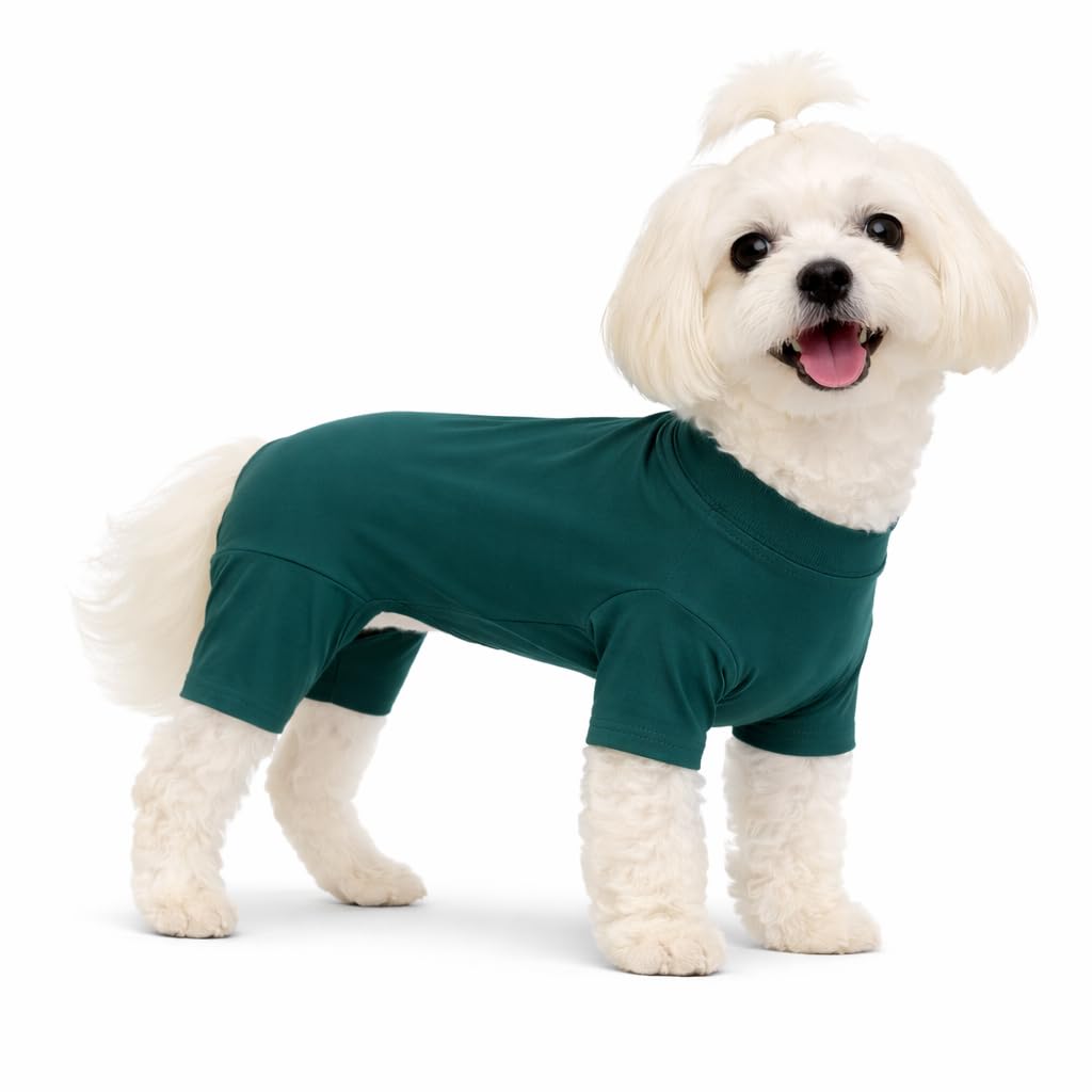 Lovelonglong Dog Full Bodysuit – Stretchy Yoga Fabric 4-Leg Dog Pajamas, Breathable & Lightweight Dog Onesie for Indoor & Outdoor, Shedding Control & Travel Wear Teal Green S