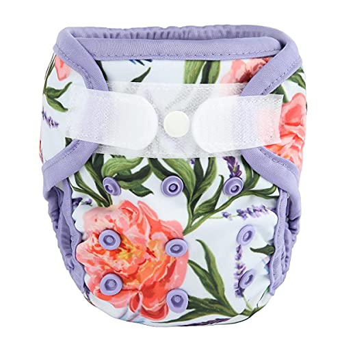Image of Newborn Baby Cloth Diaper Cover Nappy Hook and Loop (Hummingbirds Flowers)