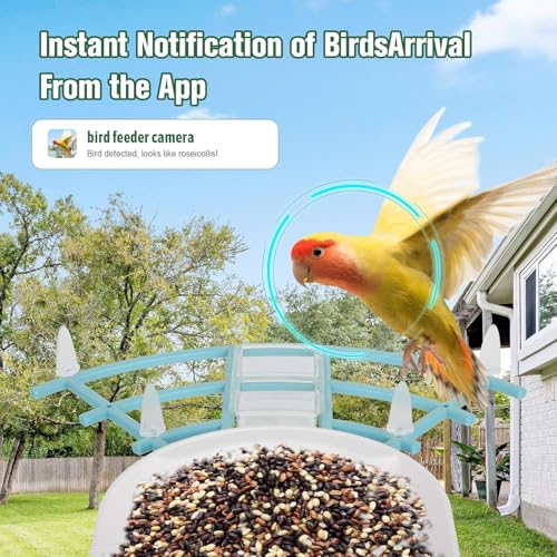 HUEVUE-Bird-Feeder-with-Camera-AI-Identify-Birds-Species-Solar-Powered-Auto-Record-Videos-in-Backyard-Instant-Notifications-Ideal-Gift-for-Family-and-Bird-Lovers