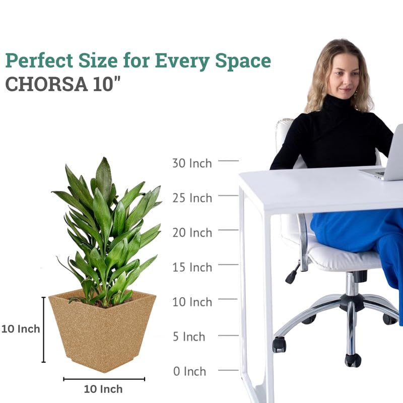 Image of Amazon Brand - Umi 10 Inch Planter Pot | Flower Pot for Indoor & Outdoor Use | Square Shape Planter Pot for Home & Office Decor Balcony & Terrace Gardens (Chorsa, Brown)