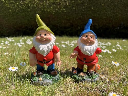 Geschenk-Himmel 2er Set Gartenzwerge Zwerg Zwerge GNOME, Blauer und...