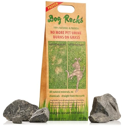 Dog Rocks for Urine Burning Grass - 200g Natural Pet Rock to Help Maintain Green Lawn - Grass Savers for Dog Urine - 2 Month Supply for Use in Water Bowls or Yard