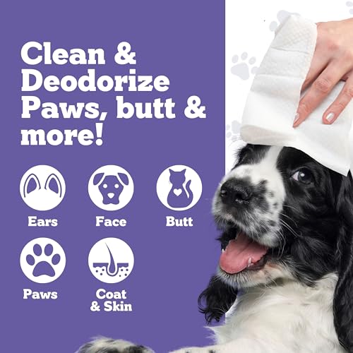 Pets XL Lavender Vanilla Pet Wipes-Deodorizing No Bath Cleaning for Dogs & Puppy Grooming | Ear, Face, Butt, Paw Wet Wipe | Enriched w/Aloe, Chamomile, Oat Amino Acids | Healthier Coat & Skin Pets XL Lavender Vanilla Pet Wipes-Deodorizing No Bath Cleaning for Dogs & Puppy Grooming | Ear, Face, Butt, Paw Wet Wipe | Enriched w/Aloe, Chamomile, Oat Amino Acids | Healthier Coat & Skin