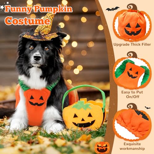 Disfraz de Calabaza para Perros Pequeños y Medianos Halloween miniatura 7