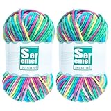 2 Packs of 48g/142yards Crochet/Knitting Rainbow Yarn, Multicolor Variegated Acrylic Yarn, Soft for Crocheting Blanket (Purple, Green, Yellow)