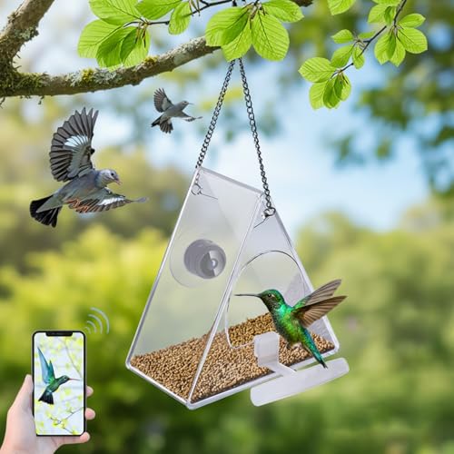 Mangeoire à oiseaux intelligente pour observer la faune en HD - 8