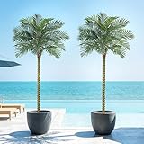 VeriNatural 9FT Artificial Palm Tree for Outdoor & Indoor Decor – Tall Large UV Resistant Faux Palm Tree, Tropical Artificial Tree for Patio, Living Room, Poolside & Commercial Spaces (Set of 2),VN227