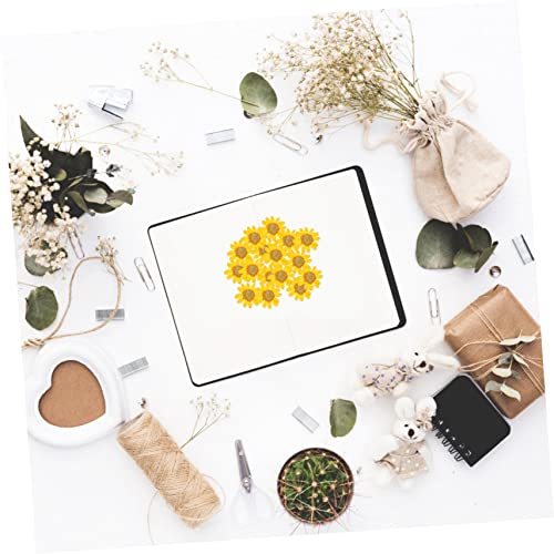 72pcs Flores Secas de Margarita para Manualidades miniatura 4