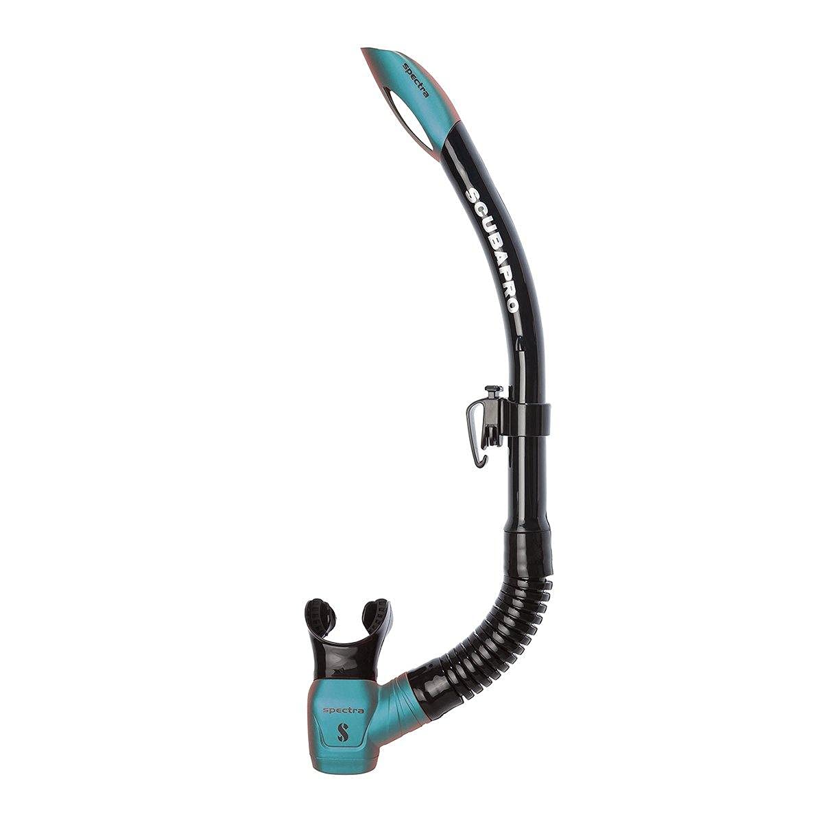 Attache Spectra – snorkeling