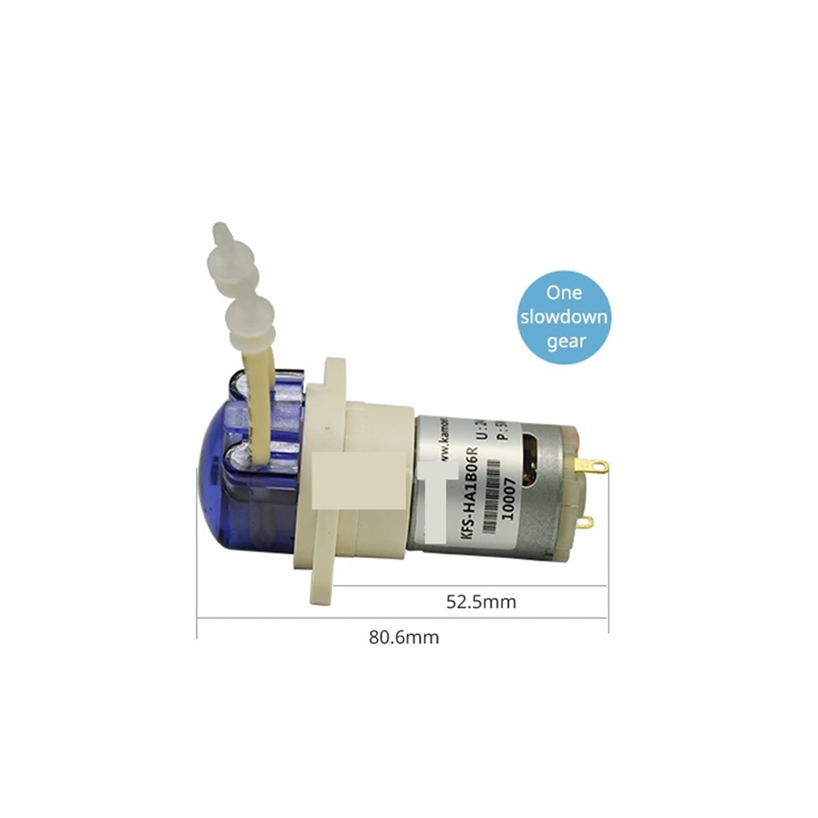 Pompa peristaltica 6V / 12V / 24V Piccola pompa a flusso costante 12v DC Micro pompa dell'acqua Pompa dell'acqua di circolazione Mini pompa(S06,12v one Slowdown Gear)