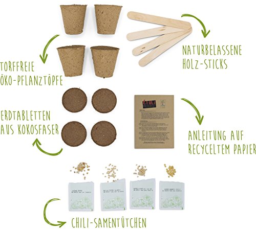 SATTE SAAT Chili Anzucht-Set zur Aufzucht scharfer Chili-Pflanzen mit ökologischen Pflanztöpfen, Anzuchterde, Holz-Sticks, Chili-Samen und Anleitung - Pflanzset Geschenk zu Geburtstag oder Ostern - Image 3