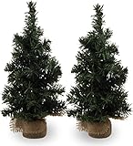 2Pack Mini Christmas Tree Table Top Decorations- Artificial Small Pine Trees with Burlap Base on Desktop, Shelves, Bedroom, Miniature Scenes Xmas for Home, Office, Party Decor