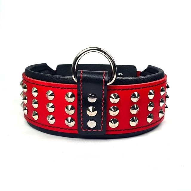 Bestia '' Star '' Collar de Perro de Cuero Genuino con Tachuelas