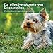 AniForte Ectoprotex Dog Margosa Extrakt Spot On für Hunde 50ml - Repellent für Hunde, erlesene Mischung aus ätherischen Ölen & Margosaextrakt
