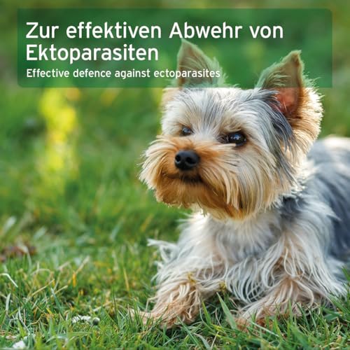 AniForte Ectoprotex Dog Margosa Extrakt Spot On für Hunde 50ml - Repellent für Hunde, erlesene Mischung aus ätherischen Ölen & Margosaextrakt