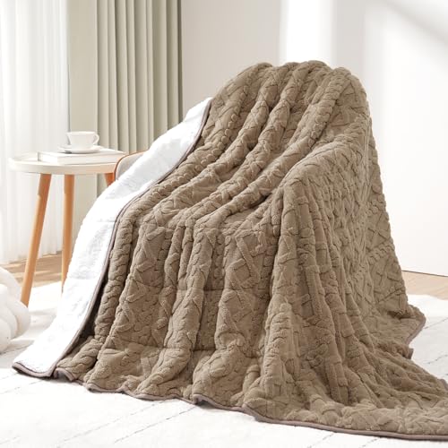 Image of Drewin Weighted Blanket for Adults Queen Size 20lbs, Soft Cozy Jacquard Sherpa Weighted Blankets for Sleeping and Calming, Fluffy Throw Blanket for Couch Bed, 60 x 80 inches, Brownish White