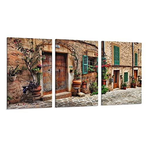 Landscape Posters Flowers Doors Windows And Walls In The Streets Of Ancient Mediterranean Town Paintings For Wall Decorations Wall Art Paintings Canvas Wall Decor Home Decor Living Room Decor Aestheti #TOP9