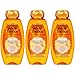 Garnier Hair Care Whole Blends Illuminating Shampoo with Moroccan Argan & Camellia Oils Extracts for Dry Hair, 3 Count