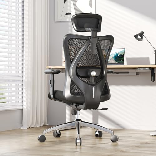 Sihoo Ergonomics Office Chair Computer Chair Desk Chair, Adjustable Headrests Chair Backrest and...