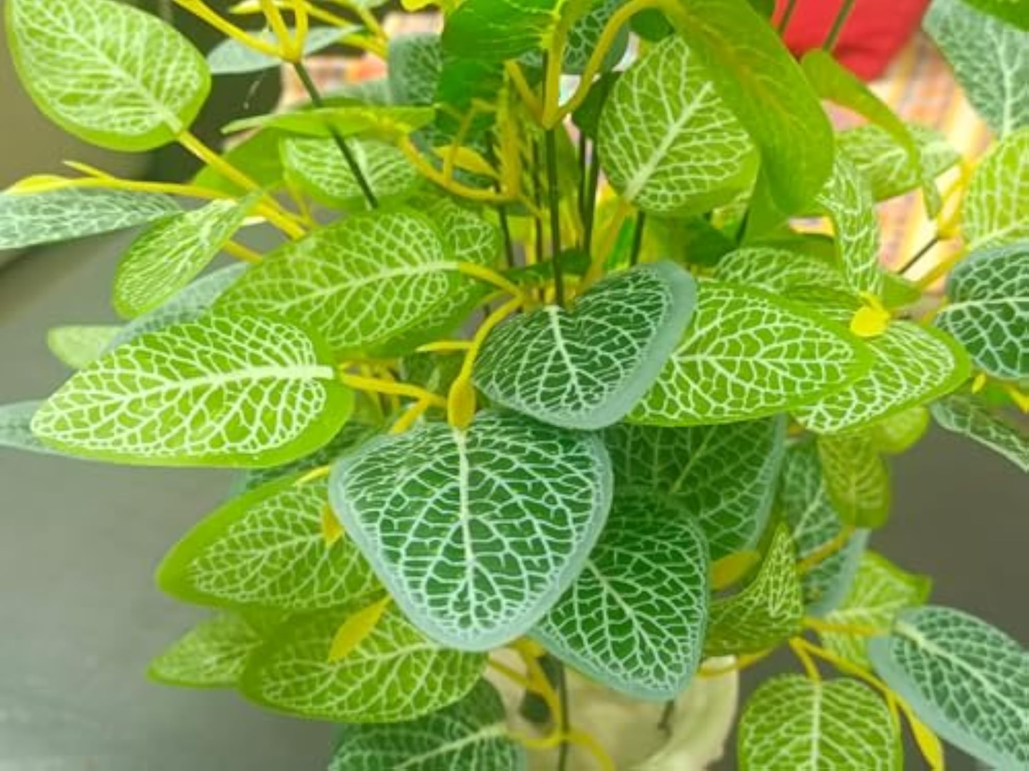 Artificial Green Leaf Money Plant with Plastic Pot