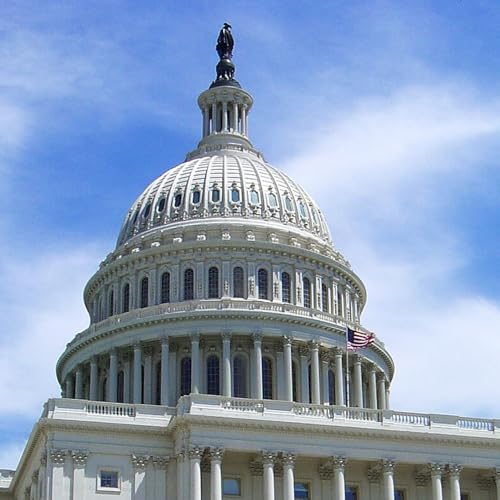 Recapping the Senate's Weekend Session Podcast Por  arte de portada