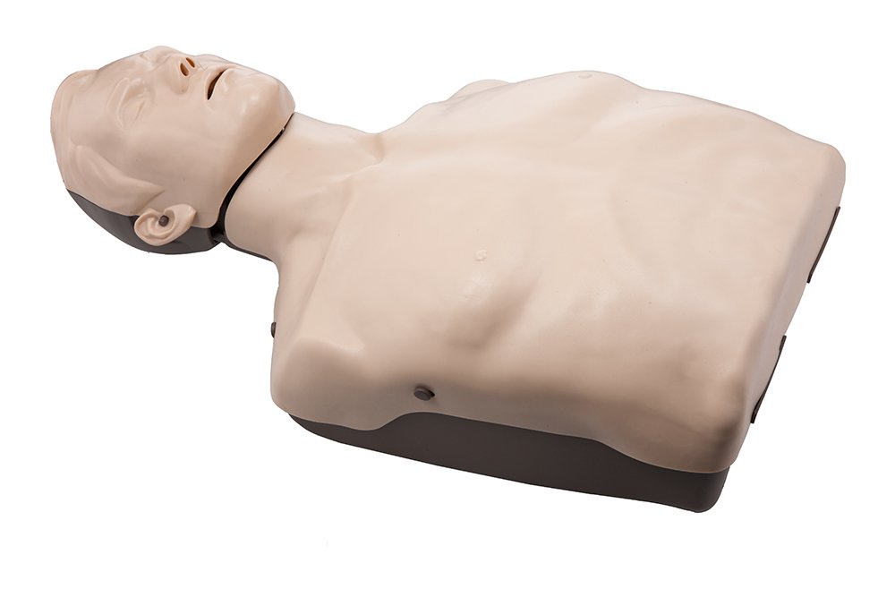 Brayden Manikin LED Blutfluss HLW Reanimationspuppe CPR Wiederbelebungspuppe Set