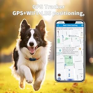 Gps 4g Tracker Health Monitoring for Dog with Led Light Upsounding Waterproof Gps Location Smart Pet Activity Tracker Super Long Standby Time Unlimited Range Use for Dogs Collar Cucciolini Doodles Gps 4g tracker health monitoring for dog with led light upsounding waterproof gps location smart pet activity tracker super long standby time unlimited range use for dogs collar cucciolini doodles