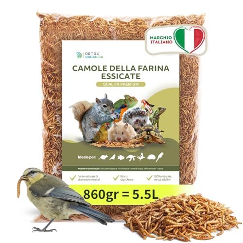 Detox Organica Camole della Farina Essiccate, 860g = 5.5 L - Podotto Germania, Qualità Premium, 100% Naturale | Tarme della Farina -Mangime Uccelli Selvatici, Pesci, Tartarughe, Roditori, Rettili