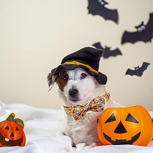 Collier pour chien d'automne citrouille avec boucle réglable renforcée - 7