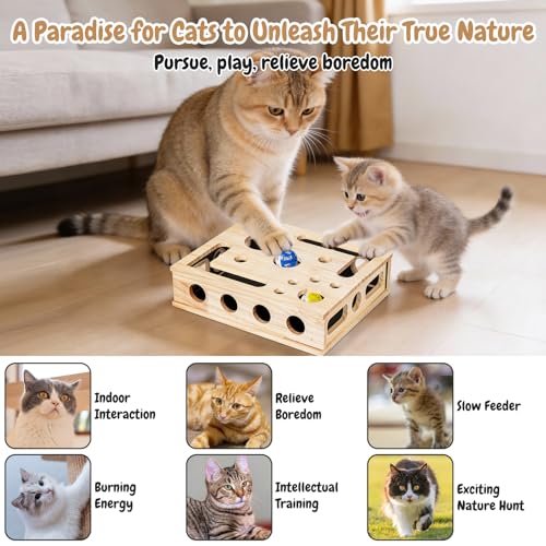 2026 New Cat Nail File Enrichment Box, Cat Scratch Puzzle Enrichment Box with Sandpaper Inside, Fun Cats Indoor Scratching for Boxes Game - Stress Free Alternative to Clippers&Grinders for Indoor Cats by Uceento - Image 4