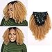 Sassina Double Wefts Clip In Human Hair Extensions Afro Curly Style Natural Looking Ombre Natural Black Fading to Strawberry Blonde 120 Grams 7 Pieces Per Bundle With 17 Clips AC TN27 14 Inch