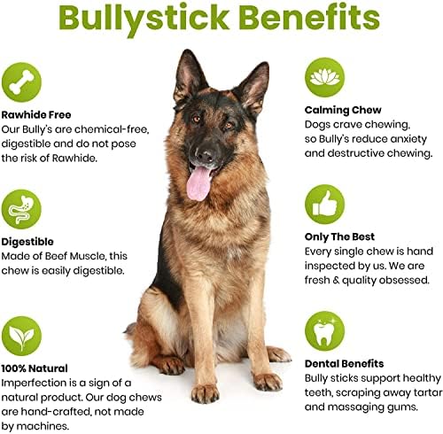 Pawkaboo® Natural Dog Chews | Thick Beef Pizzle Sticks (10 Pc) | Premium Bully Sticks for Dogs 12cm 5 inch Long Dog Chews | 100% Natural Dog Treat Hypoallergenic chews for all dogs Average 270 Grams