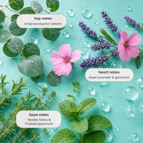 Image of Ginger Lily Farms Botanicals Hand Soap, 16.9oz, Eucalyptus Tranquility