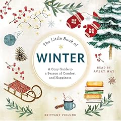 The Little Book of Winter Audiolibro Por Brittany Viklund arte de portada