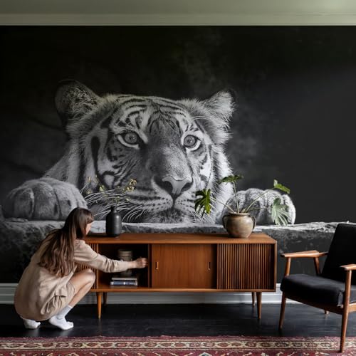 Transforma tu hogar con el diseño Tulup 152x104 cm 4