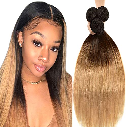 Ombre Hair Bundles 1b/27 Ombre Human Hair Silky Straight Hair Bundles Unprocessed Brazilian Straight 3 Bundles For Women Wet And Wavy Remy Hiar 20 22 24 Inch