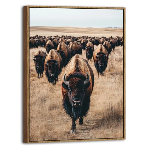 Image of Western Bison Wall Art Buffalo Cow Pictures Wall Decor American Bison Herd Decor Western Wildlife Animals Canvas Prints Farmhouse Highland Cow Artwork for Living Room Office Home Decoration 12x16 inch
