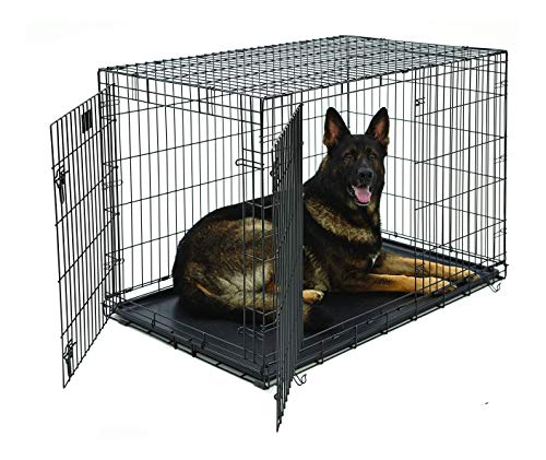 life stages dog kennel