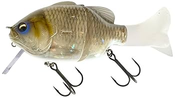 Amazon.co.jp: イマカツ ギルロイドベビー スタンダードカラー