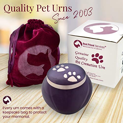 Best Friend Services Pet Urn - Memorial Cremation Pet Urns For Dog And Cat Ashes, Hand Carved Mia Series Urn For Pets Up To 25 Lbs (Small, Deep Purple, Double Pewter Paws) #TOP2