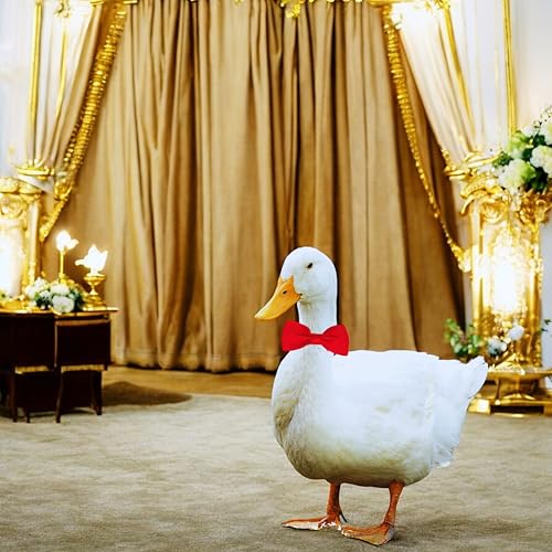 Image of Duck Harness and Leash for Real Ducks with Bowtie Set, Adjustable Walking Harness and Bowties for Real Ducks, Duck Collar for Pet, Leash for Pet Chicken Goose Hens Rooster (M, Blue Star)