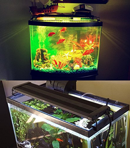 COODIA Aquarium Hood Lighting Color Changing Remote Controlled Dimmable RGBW LED Light for Aquarium/Fish Tank, Extendable (for Fresh and Salt Water) (46-54inch) - Thumbnail 2