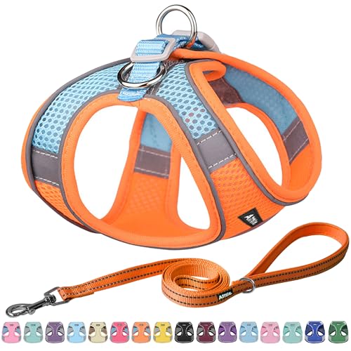 Image of AIITLE No Pull Dog Harness and Leash Set, Step in Adjustable Dog Harness with Padded Vest for All Weather, Dog Leash with Soft Padded Handle, Easy to Put on Small and Medium Dogs Orange S