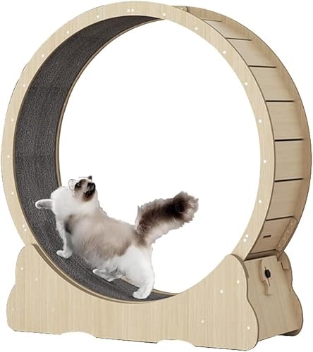 Pista para gatos, roda de exercícios para gatos, esteira para gatos, bicicleta de equilíbrio para ga