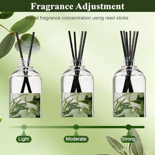 Image of STRN Reed Diffuser Refill, Eucalyptus and Sage Scent Diffuser 500ml | 16.9 oz with 6 Reed Sticks, Room Fresheners for Home, Long-Lasting Summer Fragrance for Living Room, Bedroom, Office