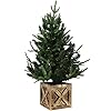 Sunnydaze 3 foot farmhouse pre lit artificial christmas tree 272 pvc branch tips 50 battery operated led lights  urban country home decor