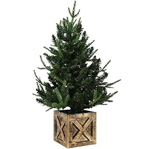 Sunnydaze 3 Foot Farmhouse Pre Lit Artificial Christmas Tree 272 PVC Branch Tips 50 Battery Operated LED Lights